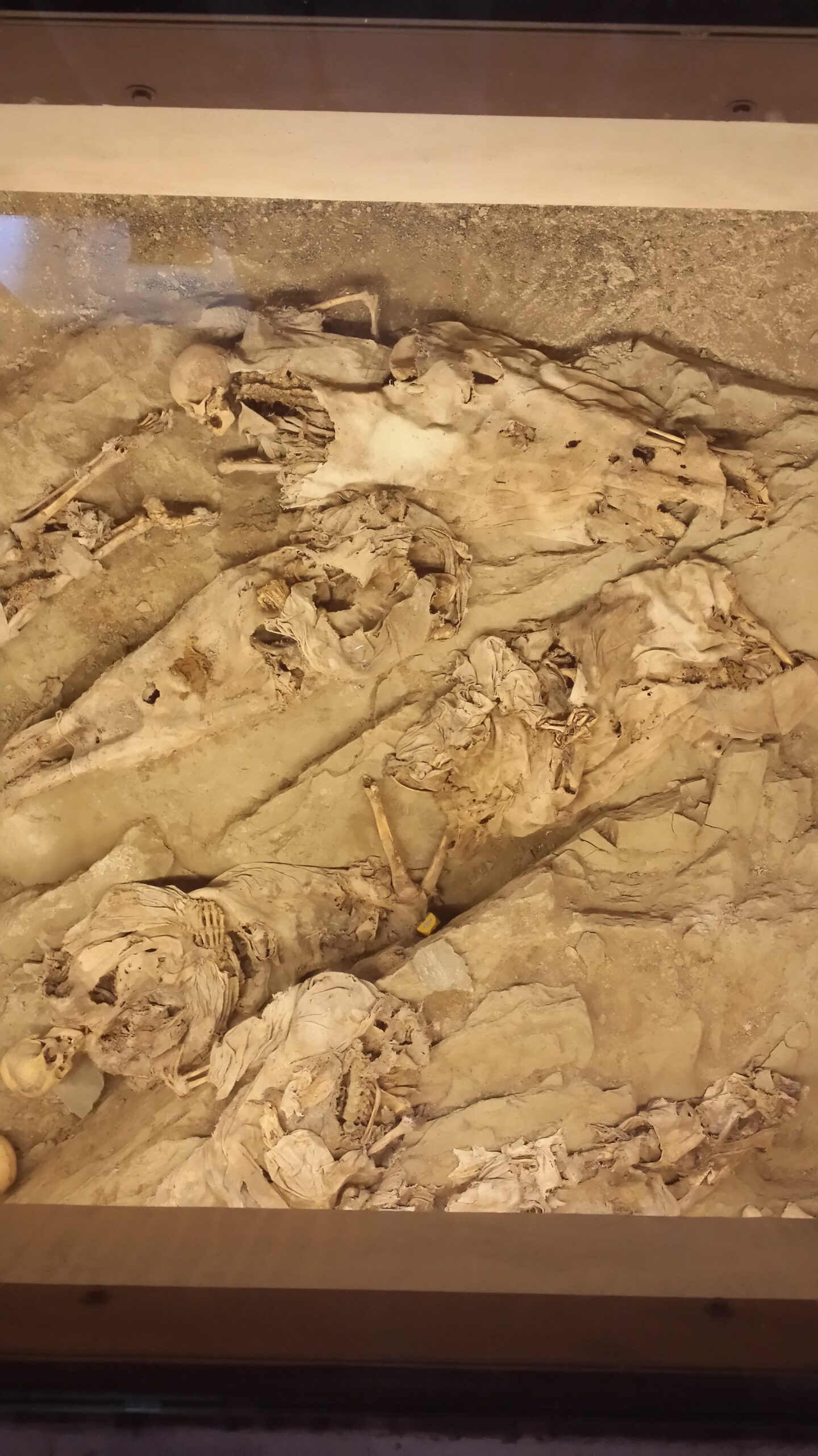 Mummie di Roccapelago - Misteri della Storia