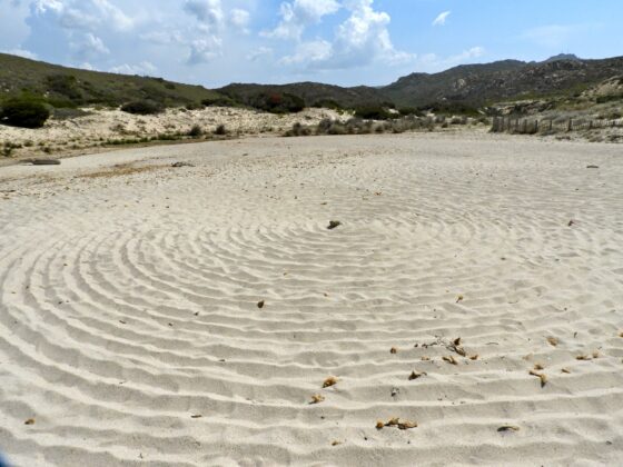 DSCN7655-560x420 Aggiornamento: Il mistero dei cerchi nella sabbia.